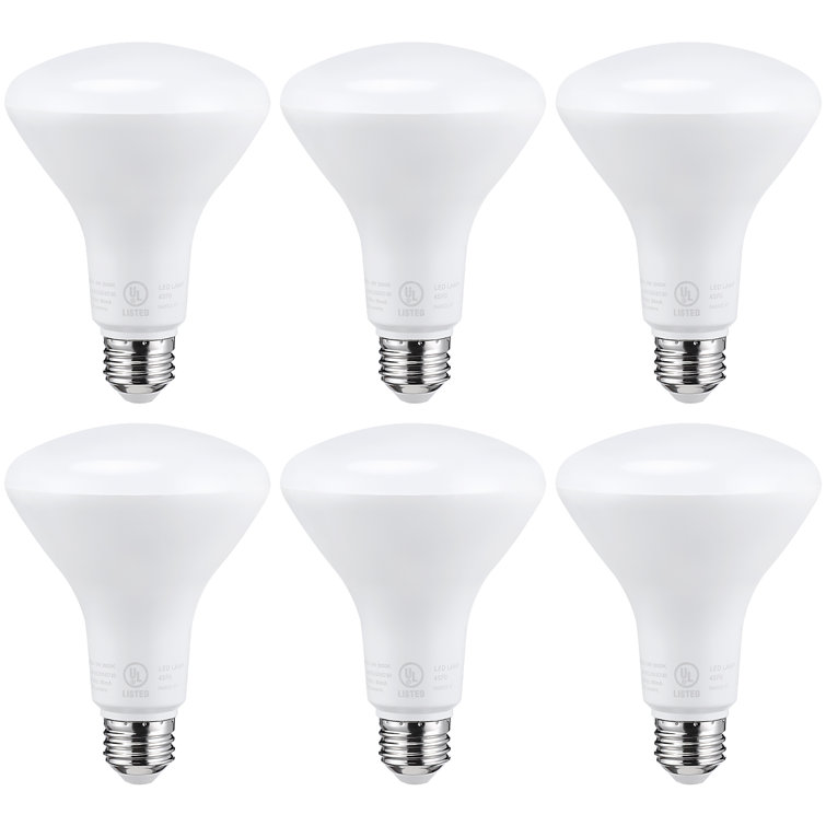 Indoor flood lamp discount
